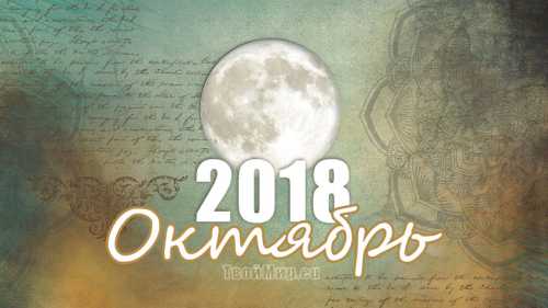 лунный календарь стрижки волос на декабрь 2017 года